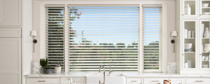 white window treatment shades