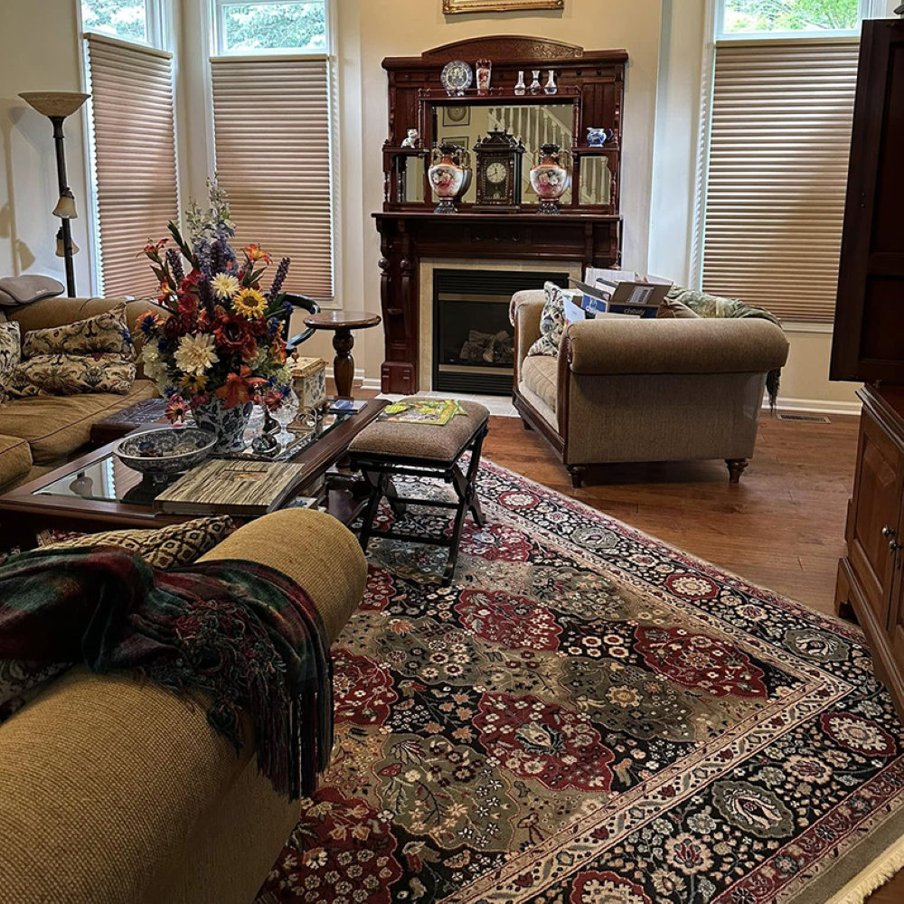area rug in living room