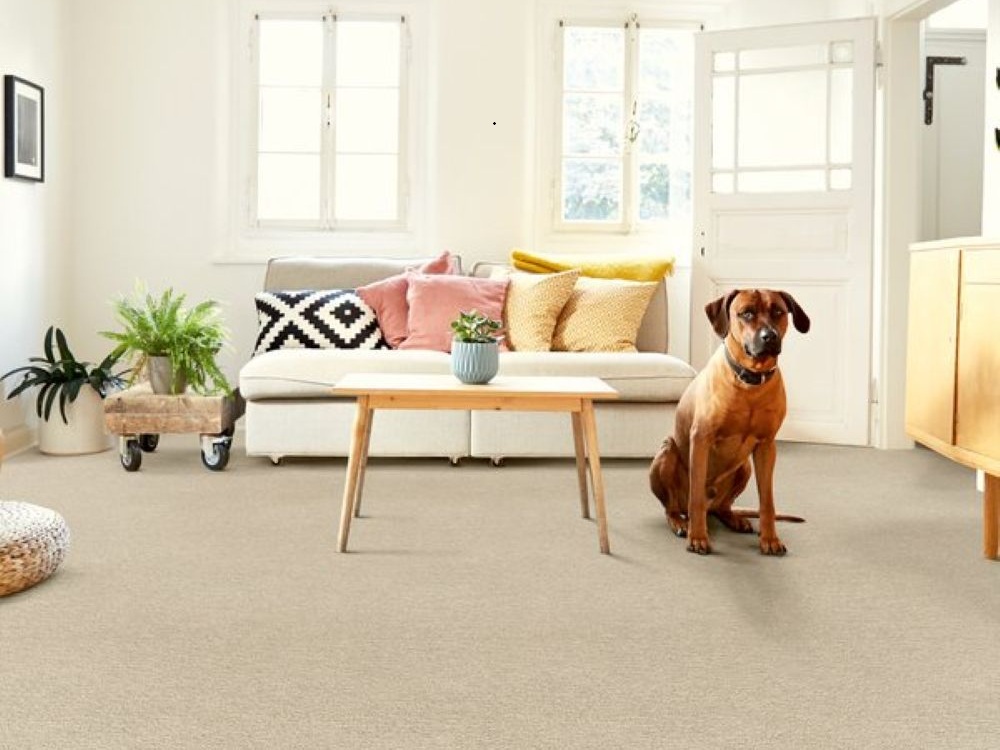 carpet in living room
