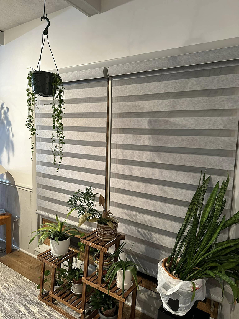 Image Alt Text